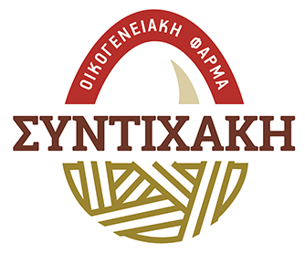 syntixakis logo